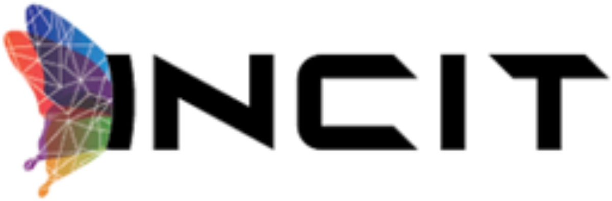 INCIT — International Centre for Industrial Transformation